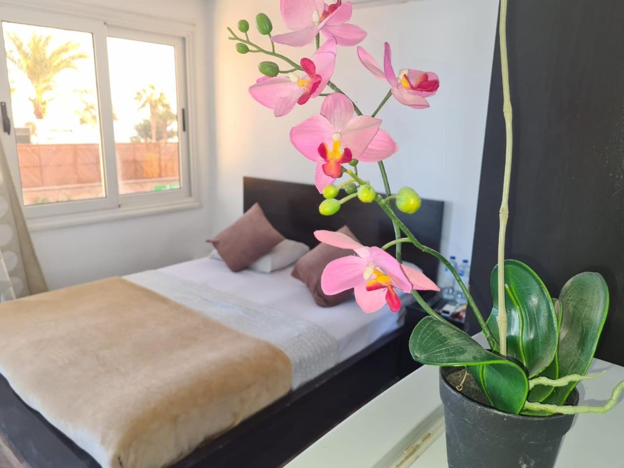 Lilly Rooms And Studio Хургада Екстериор снимка